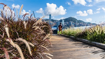 觀景台面向維多利亞港，可以盡覽香港島的天際線。